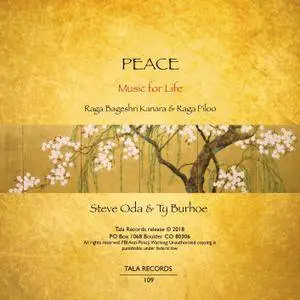 Steve Oda & Ty Burhoe - Peace - Music For Life (2018)