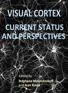 "Visual Cortex: Current Status and Perspectives" ed. by Stéphane Molotchnikoff and Jean Rouat
