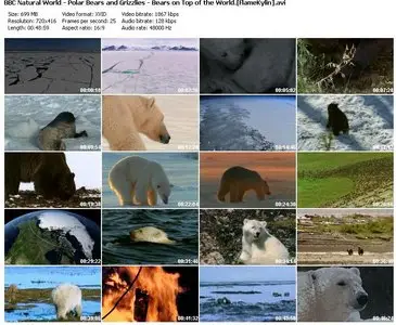 BBC Natural World: Polar Bears and Grizzlies - Bears on top of the World (2009)