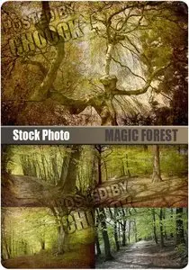Stock Photo: Magic forest