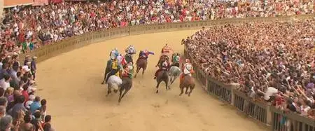 BBC Storyville - The Toughest Horse Race in the World: Palio (2016)