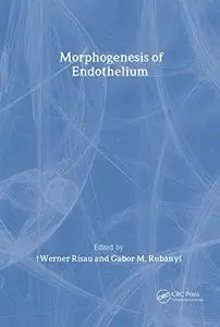 Morphogenesis of Endothelium