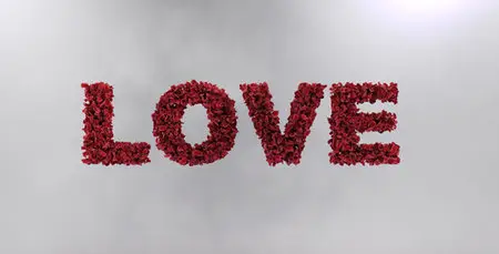 Love Leaves - Project for After Effects (VideoHive)
