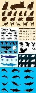 Silhouettes of the Different Species of Animals