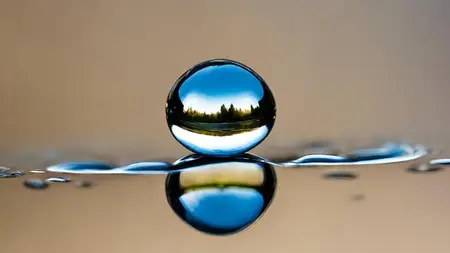 The Mind-Body Connection in Chronic Pain (The Foundations)