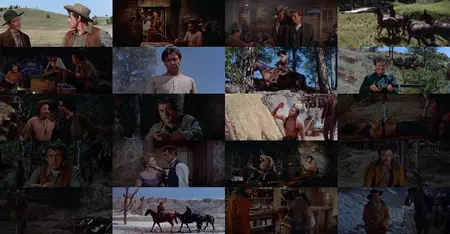 The Last Hunt (1956)