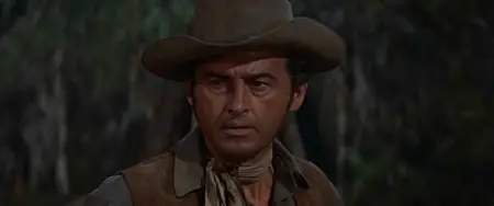 The Last Hunt (1956)