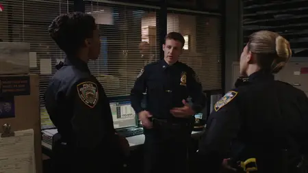 Blue Bloods S09E06