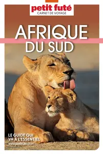 Guide Afrique du Sud 2025 Carnet Petit Futé - Dominique Auzias, Jean-Paul Labourdette