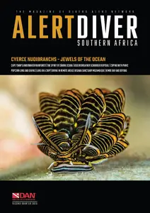 Alert Diver - Second Quarter 2025