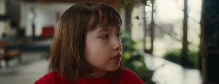 Goodrich (2024)
