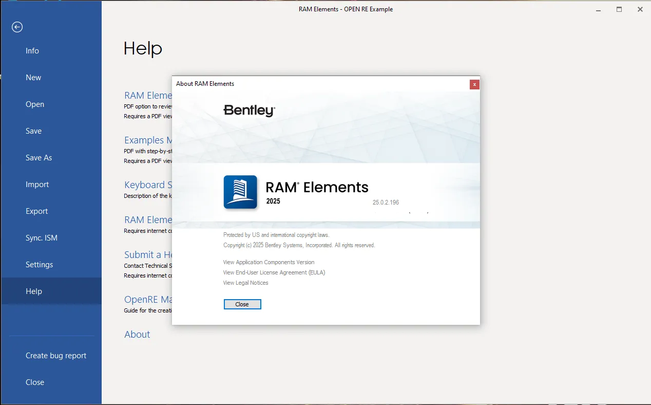 RAM Elements 2025 Patch 2 (25.00.02.196)