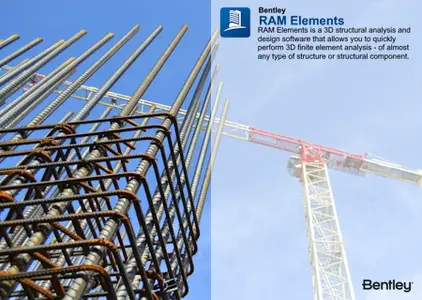 RAM Elements 2025 Patch 2 (25.00.02.196)