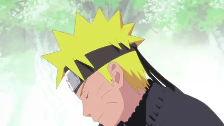 Naruto Shippuden (2007 S12E03 The Next Challenge! Naruto vs Nine Tails!! JySzE