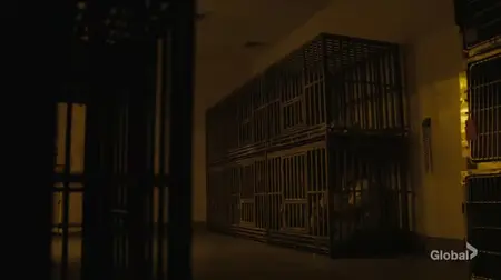 FBI: Most Wanted S06E21