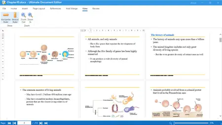 Ngoc Thanh Ultimate Document Editor 1.0.0 (x64)
