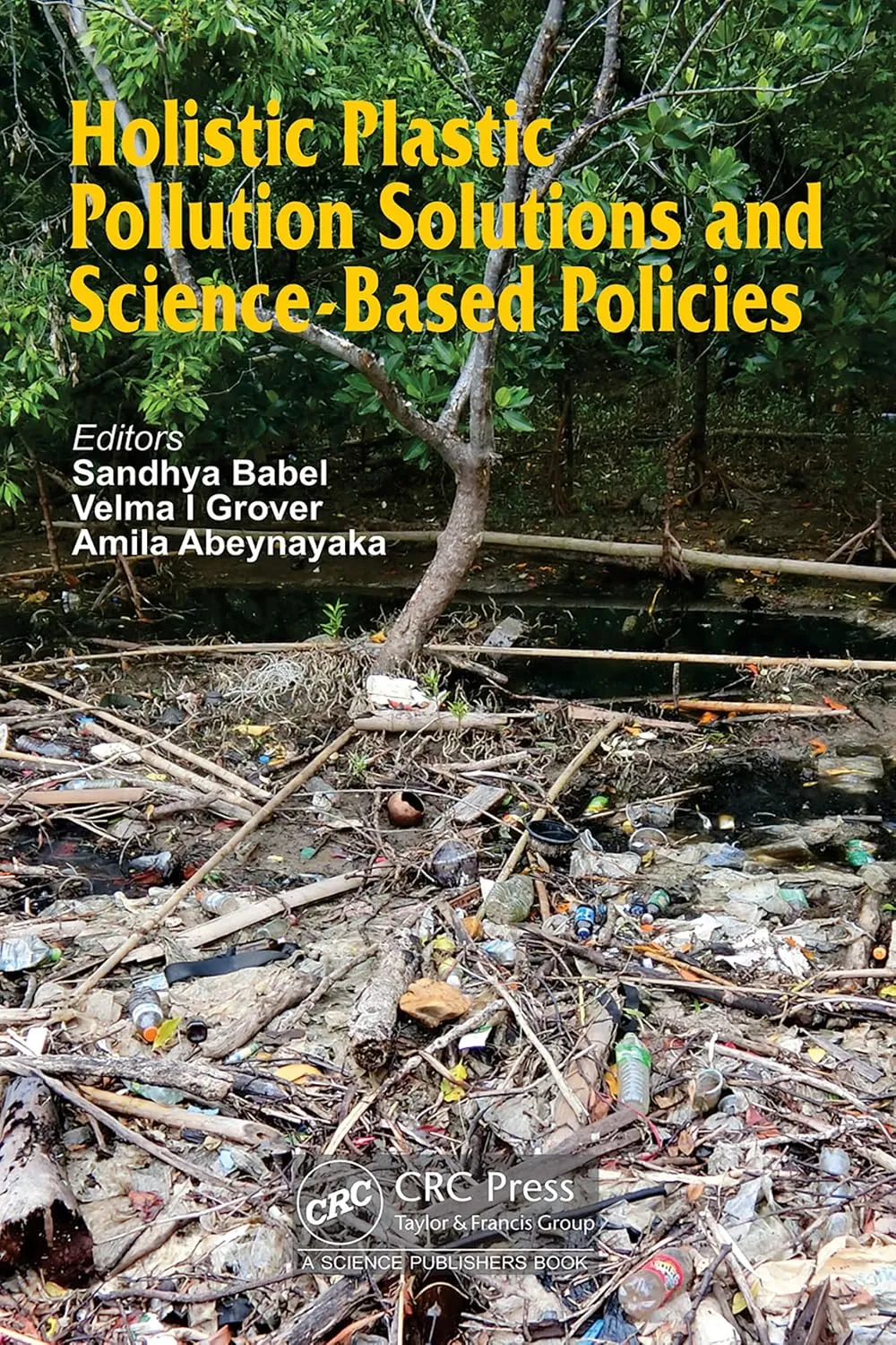 Holistic Plastic Pollution Solutions and Science-Based Policies