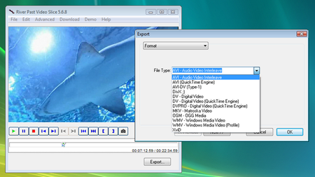 River Past Video Slice 5.6.8