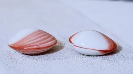 Heat Massage With Self-Warming Massage Shells/Lavashells