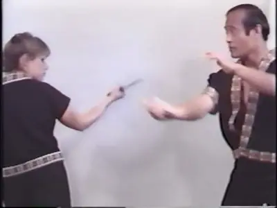The Filipino Martial Arts