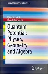 Quantum Potential: Physics, Geometry and Algebra (Repost)