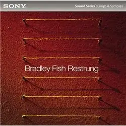 Sony Media Software Bradley Fish Restrung