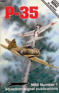 P-35 in action