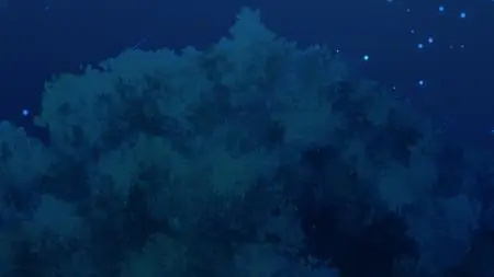 Buta no Liver wa Kanetsu Shiro - S01E04