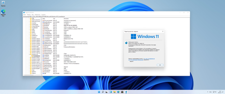 Windows 11 Version 21H2 Build 22000.51 Insider Preview