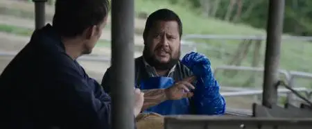 Bellbird (2019)