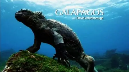 BSkyB - Galapagos with David Attenborough (2013)