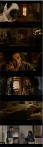 Seeking a Friend for the End of the World (2012)