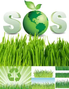 Grass