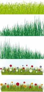 Vector Grass