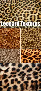 Stock Photo - Leopard Skin Textures
