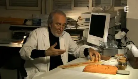 (Fr5) Mirages (2012)