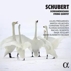 VA - Schubert: Schwanengesang & String Quintet (2021) [Official Digital Download 24/96]