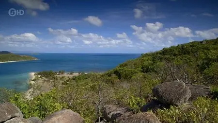Channel 5 - New Lives in the Wild (2013)