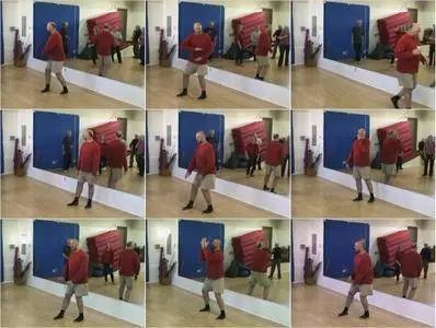 Master Wang Hao Da's Zhong Ding Exercises [3 DVD Set]
