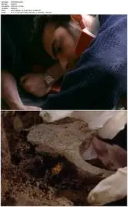 The Tomb of the Scythian Prince (2017)
