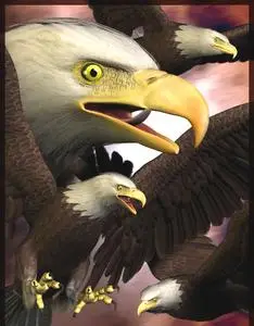 Eagle 2.0