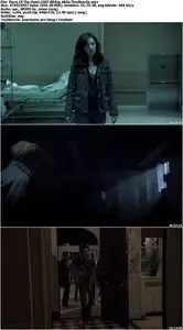Diary Of The Dead (2007)
