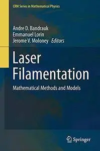 Laser Filamentation: Mathematical Methods and Models (CRM Series in Mathematical Physics)