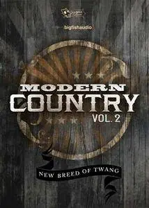 Big Fish Audio Modern Country Vol 2 MULTiFORMAT