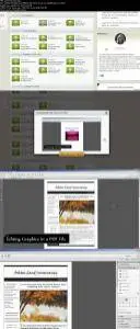 Learn Acrobat XI