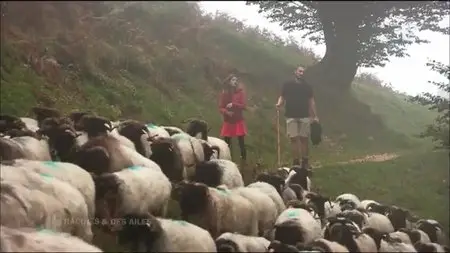 (Fr3) Des racines et des ailes - Au pays basque, entre Bayonne et Saint Sebastien (2015)