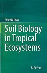 Soil Biology in Tropical Ecosystems