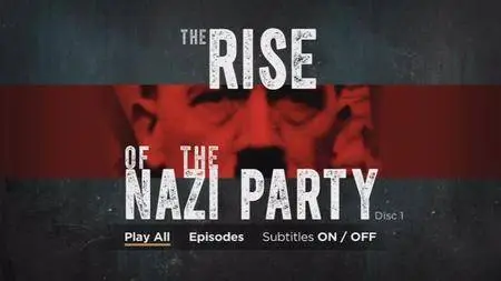 The Rise of the Nazi Party (2013)