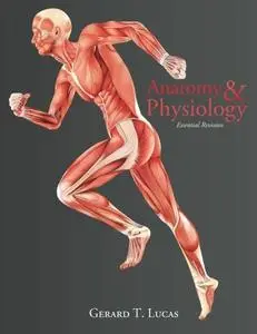 Anatomy & Physiology Essential Revision: 4,000 Revision Questions