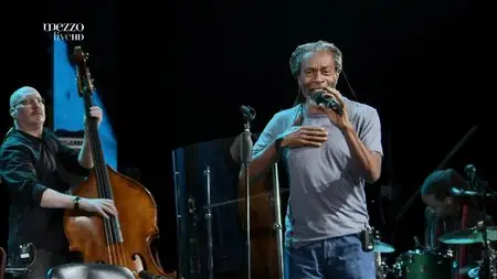 Bobby McFerrin - Live at Alfa Jazz Festival 2013 [HDTV 1080i]